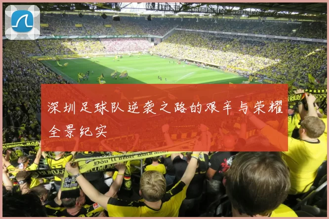 深圳足球队逆袭之路的艰辛与荣耀全景纪实